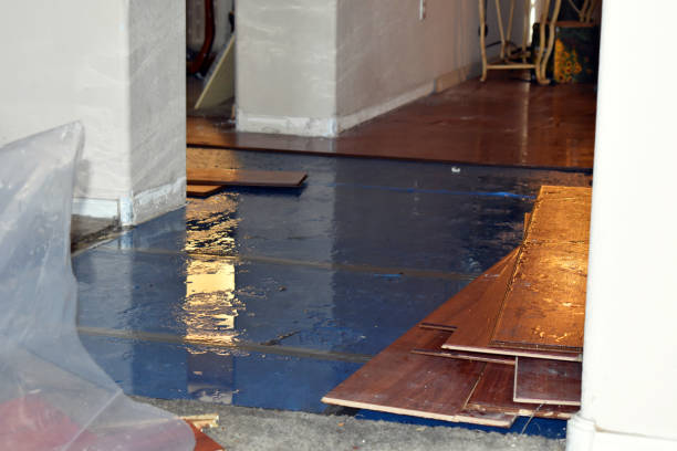 Professional Water Damage Restoration technician working in Burbank, CA